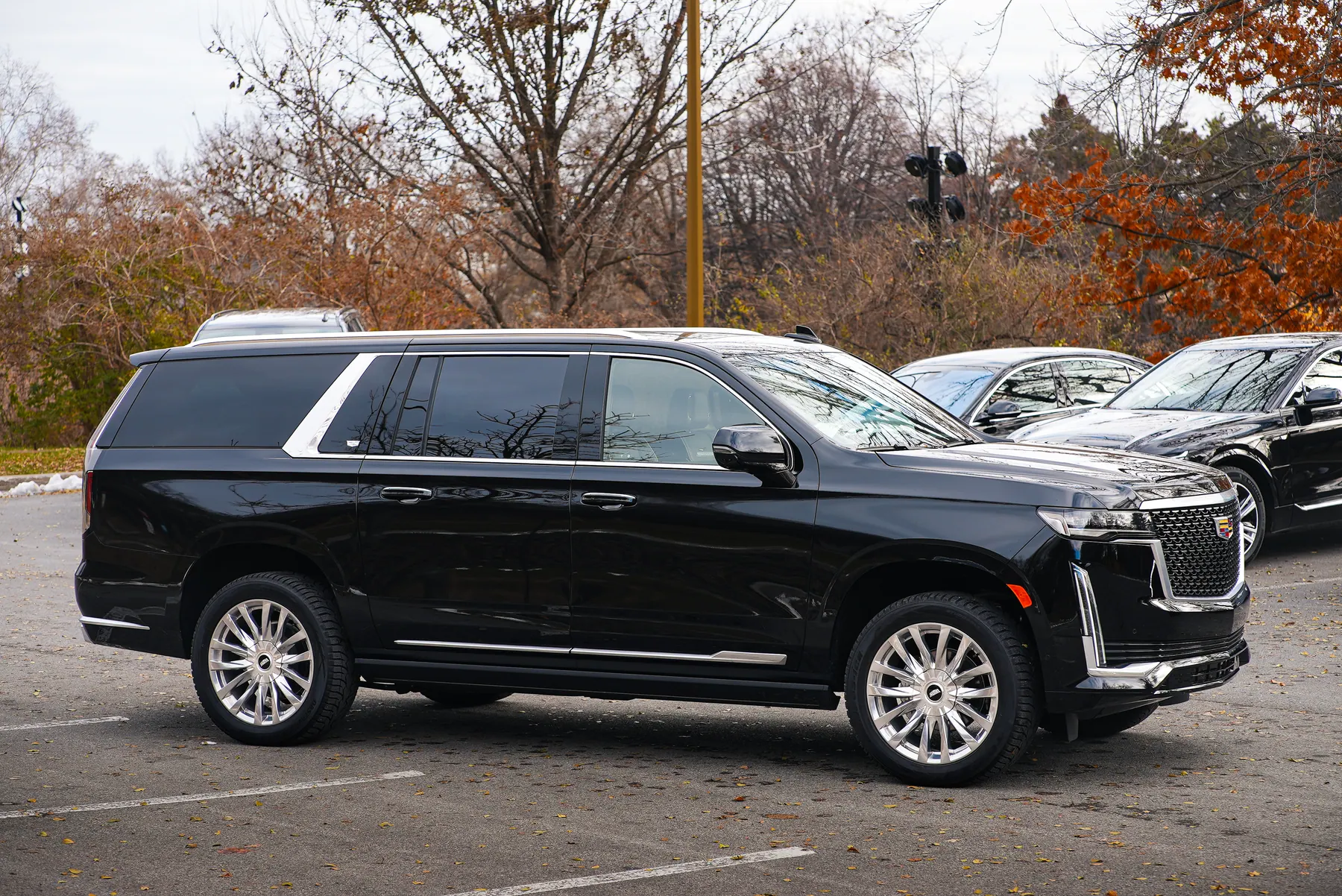 VIP Lane black Escalade SUV for airport limo service
